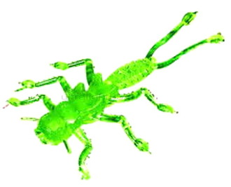 MicroKiller Веснянка, зеленый флюо